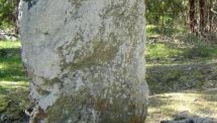Anta da Corticeira