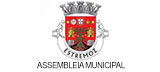 Assembleia Municipal