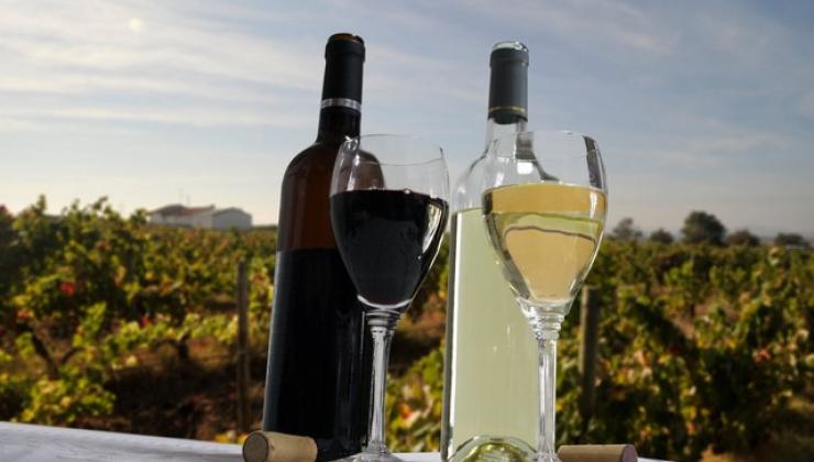 Saborear os Vinhos de Estremoz