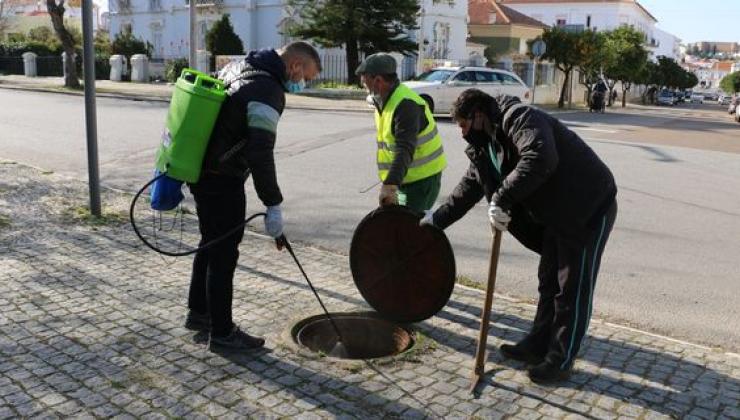 Imagem Notícia Desinfestação na rede de saneamento de Estremoz